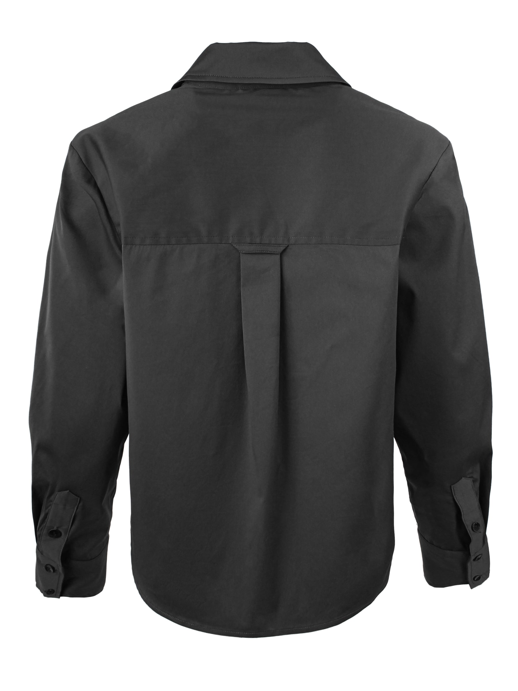 Back view of Finley Joni poplin popover blouse with box-pleated back yoke and shirttail hem. Crisp cotton blend.