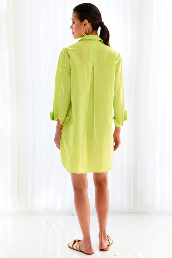 A model wearing the Finley Nash dress, a lime green taffeta button down shirt dress with long sleeves and pockets.