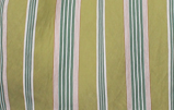 Andie Cropped Button-Down Shirt, Green Stripe