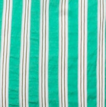 Sloane 3/4 Sleeve Shirt, Kelly Green Stripe