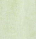 Bomba Washed Linen Key Lime Green Blouse