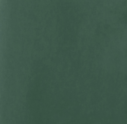Fiona Shirt Pine Green Silky Poplin