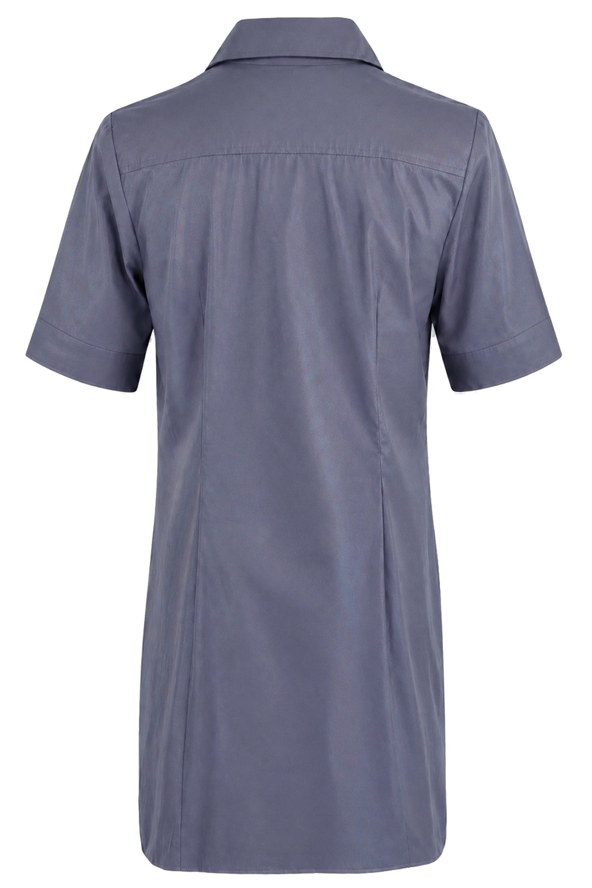 A short-sleeve collared shirt dress shown from the back, in a dusty slate blue-gray color, displayed on a clean white background.
