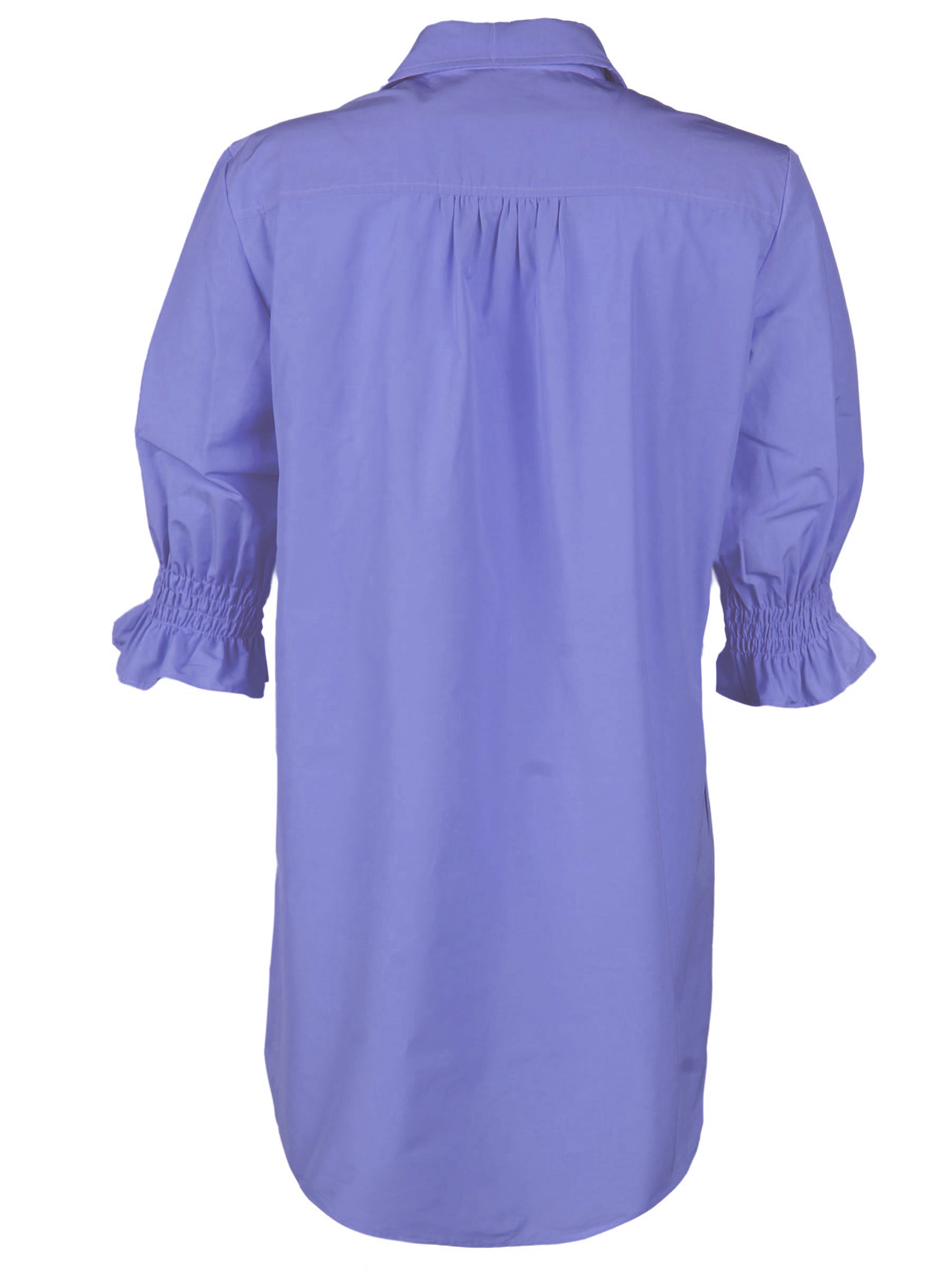 Back view of Finley Miller techy taffeta shirt dress with ruched back yoke and relaxed shift silhouette. Knee-length.