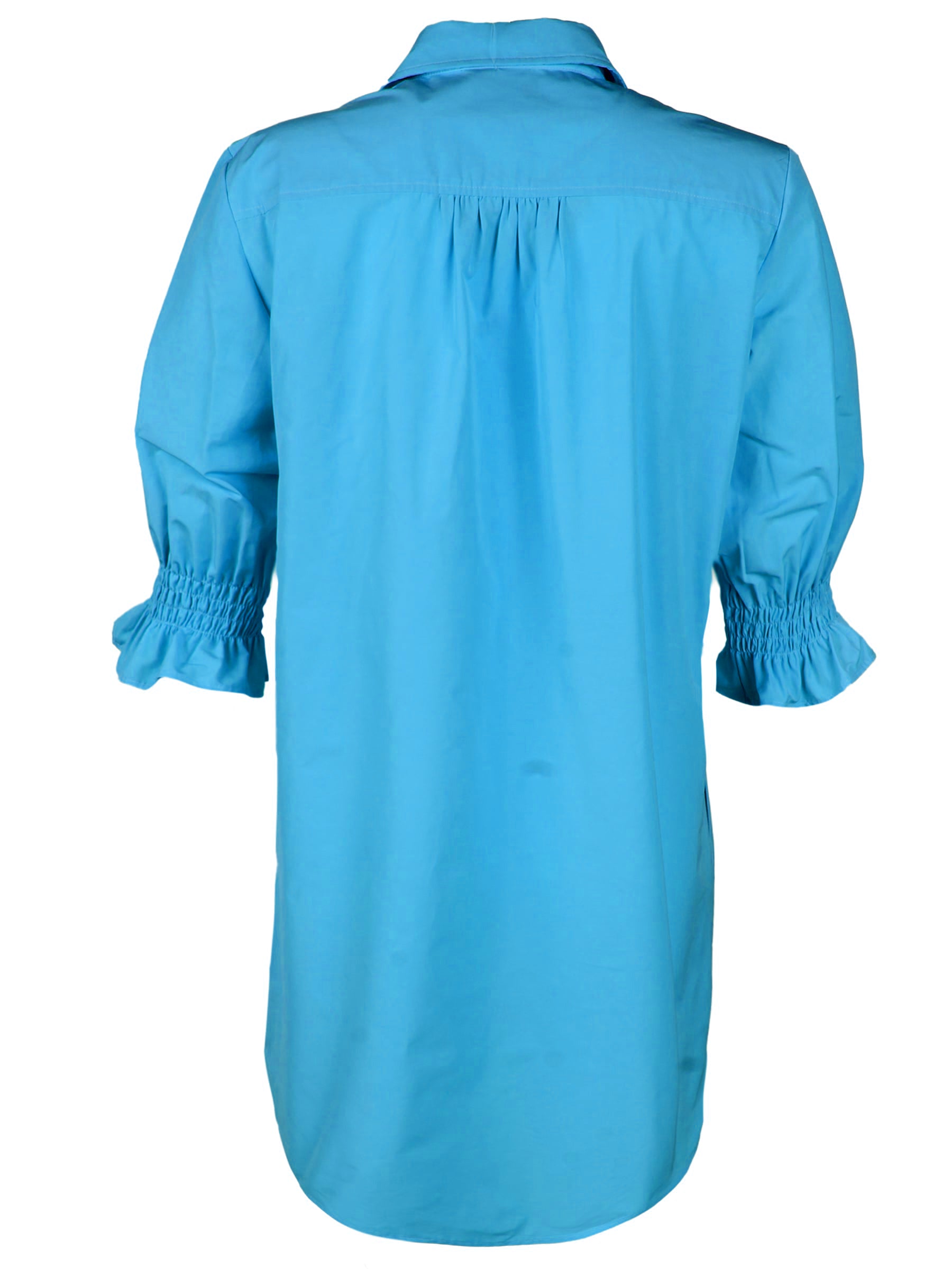 Back view of Finley Miller techy taffeta shirt dress with ruched back yoke and relaxed shift silhouette. Knee-length.