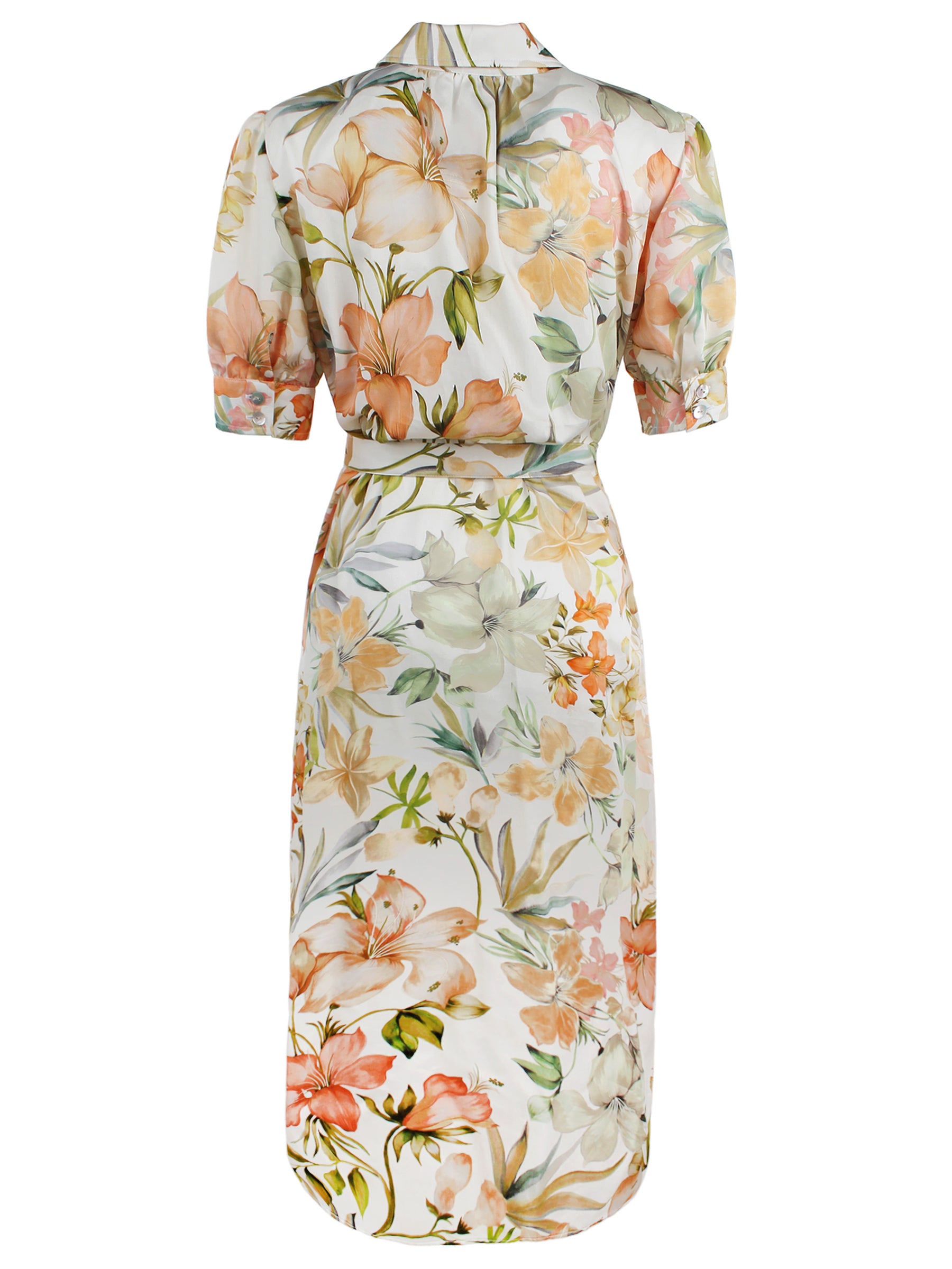 Back view of Finley Meredith floral print shirt dress with button front and elbow puff sleeves. Semi-fitted style.
