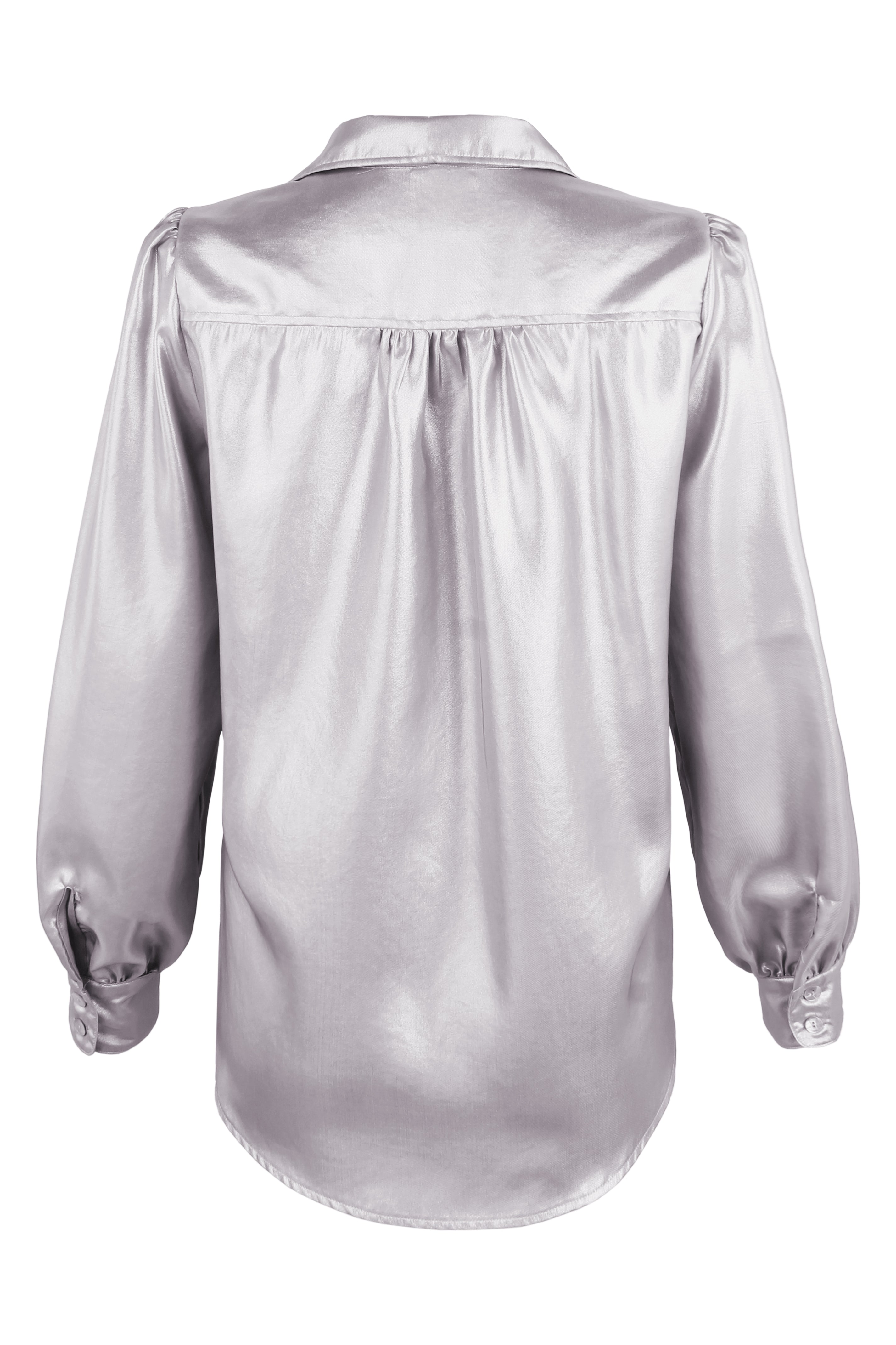 Collette Long Sleeve Blouse, Matte Silver